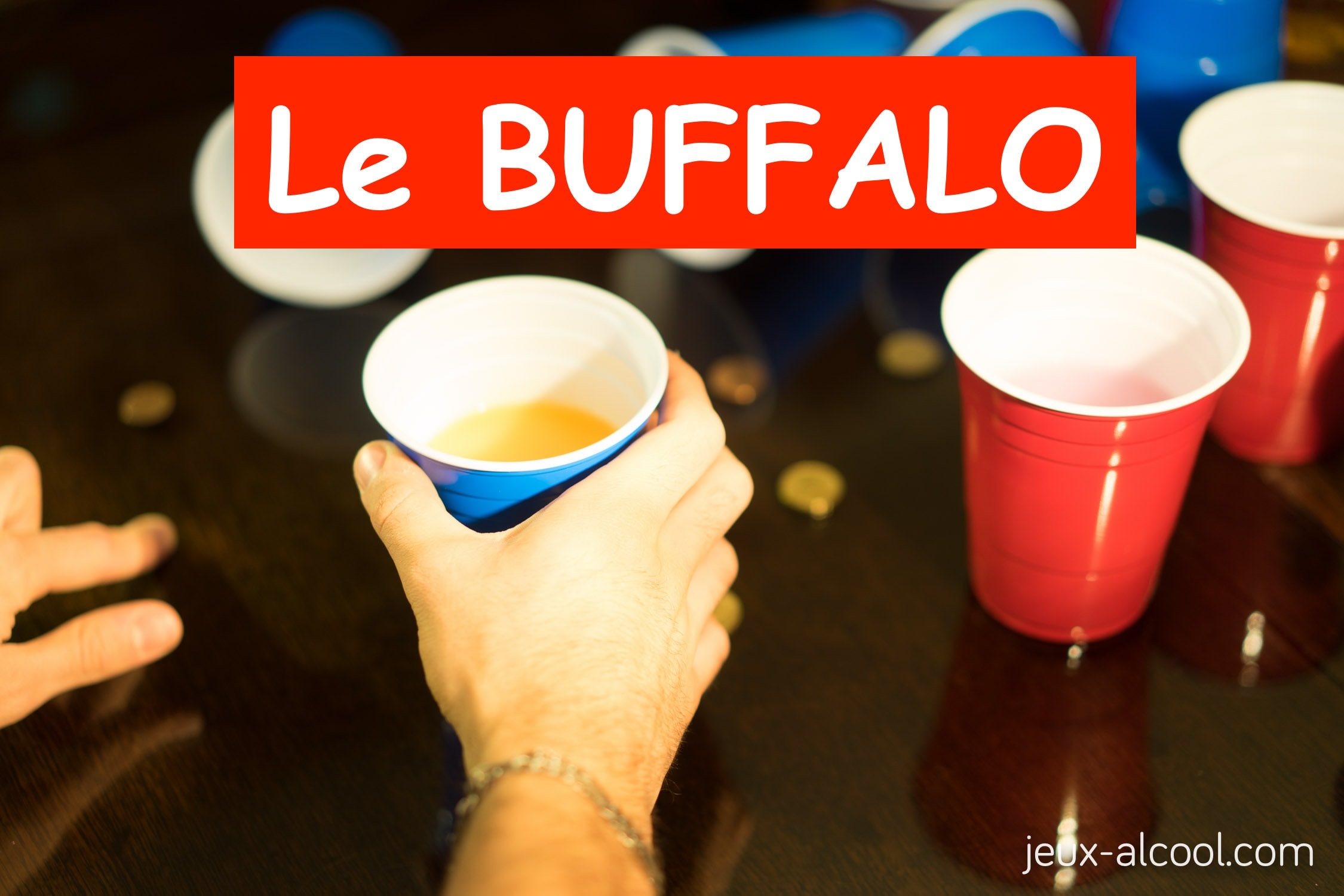Le Buffalo Un Jeu D Alcool Sans Cartes Et Sans Des Pour Vos Soirees